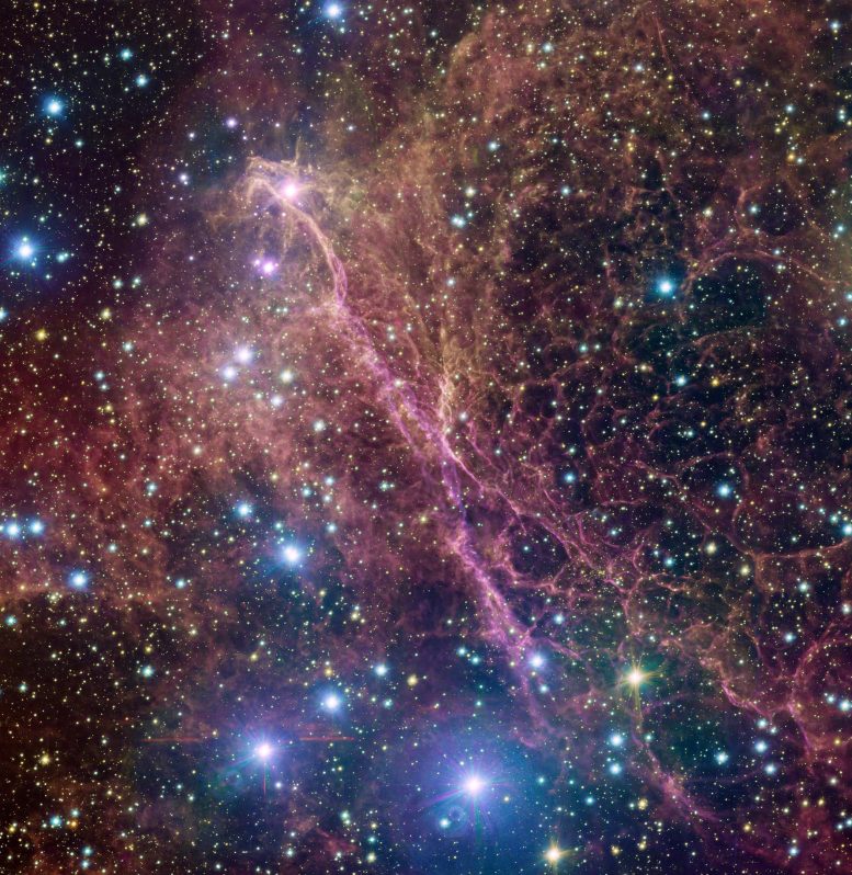 Vela Supernova Remnant VST