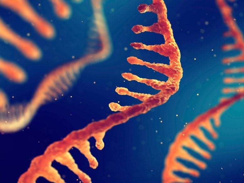 Ilustrasi molekul RNA