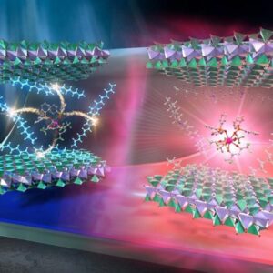 Perangkat elektrokimia mode ganda menggunakan sistem hybrid berbasis tanah liat