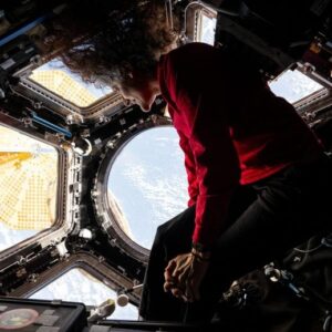 Peers Suni Williams di Bumi di bawah dari ISS CUPOLA