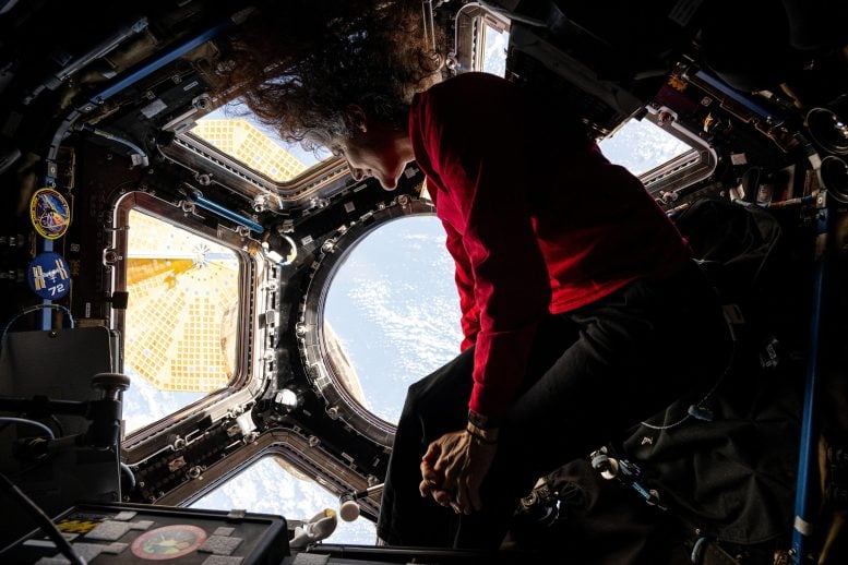 Peers Suni Williams di Bumi di bawah dari ISS CUPOLA