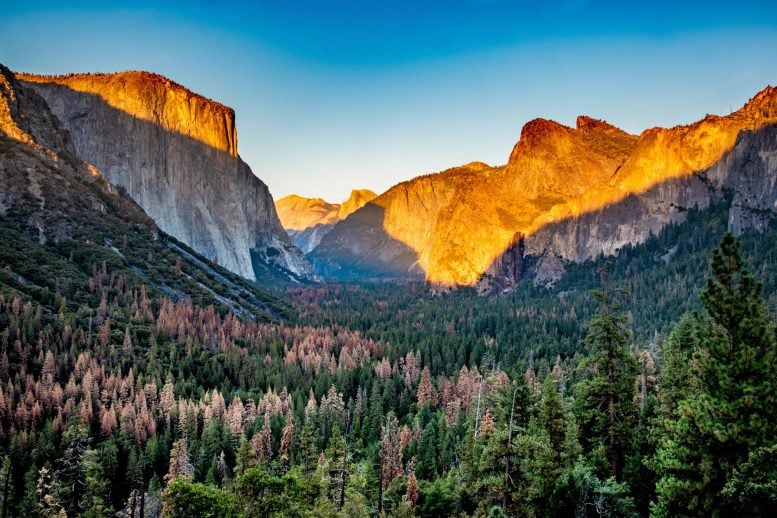 Taman Nasional Yosemite