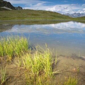 Weatland di Pegunungan Alpen