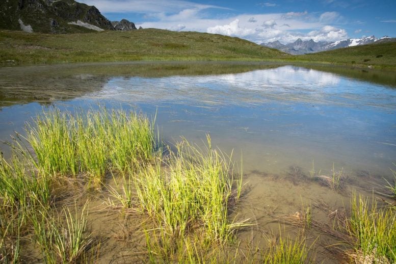 Weatland di Pegunungan Alpen
