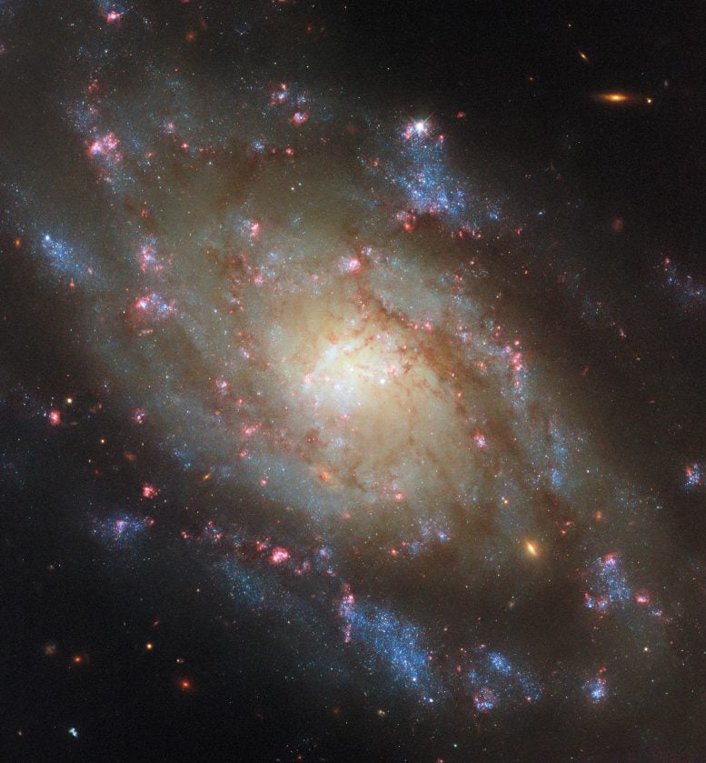 Galaxy NGC 5042