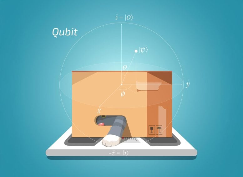 Diagram Qubit Cat Schrödinger