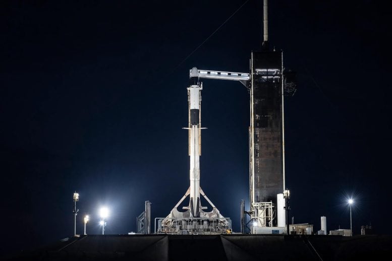 Roket SpaceX Crew-10 Falcon 9 di Pad Luncurkan