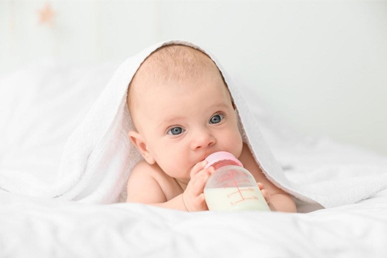 Botol memberi makan bayi