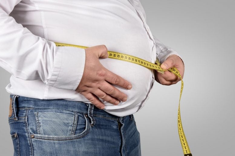 Penurunan berat badan obesitas lemak perut