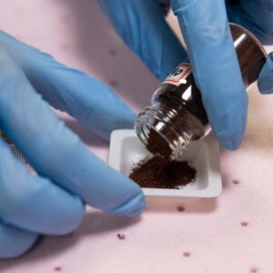 Protein sel tunggal untuk pakan ternak