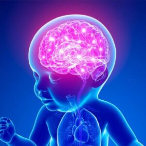 Ilustrasi otak bayi bayi