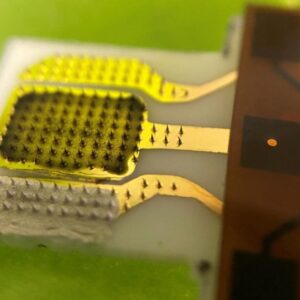 Patch tanaman dapat mendeteksi sinyal stres secara real time