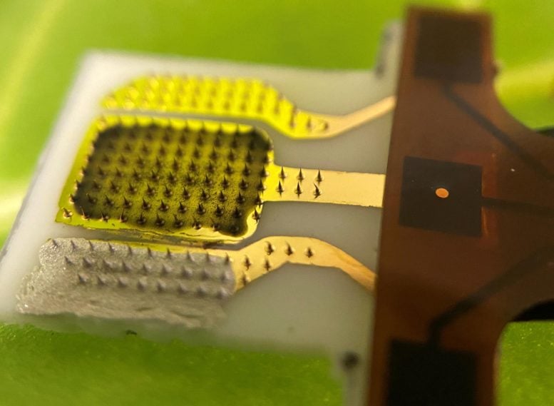 Patch tanaman dapat mendeteksi sinyal stres secara real time