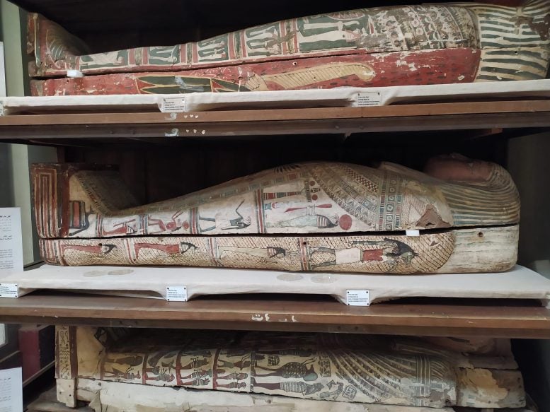 Pilihan Badan Mumi di Area Pameran Museum Mesir di Kairo