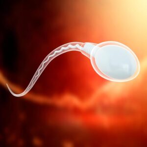 Ilustrasi sains sel sperma