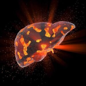 Ilustrasi konsep penyakit hati