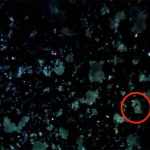 Eksperimen Laboratorium Nanoplastik