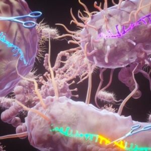 DNA untai tunggal yang dibelah oleh homolog bakteri yang berbeda dari keluarga enzim SSN baru