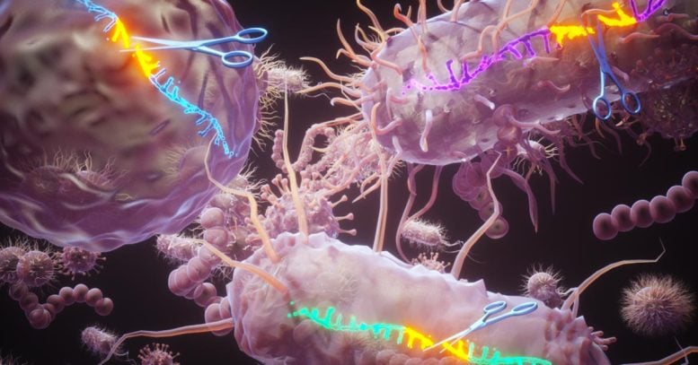 DNA untai tunggal yang dibelah oleh homolog bakteri yang berbeda dari keluarga enzim SSN baru