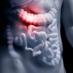 Saluran pencernaan anatomi usus manusia