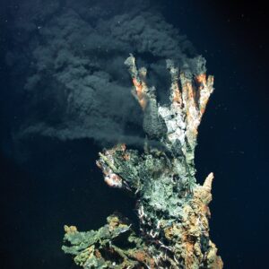 Hydrothermal Vent