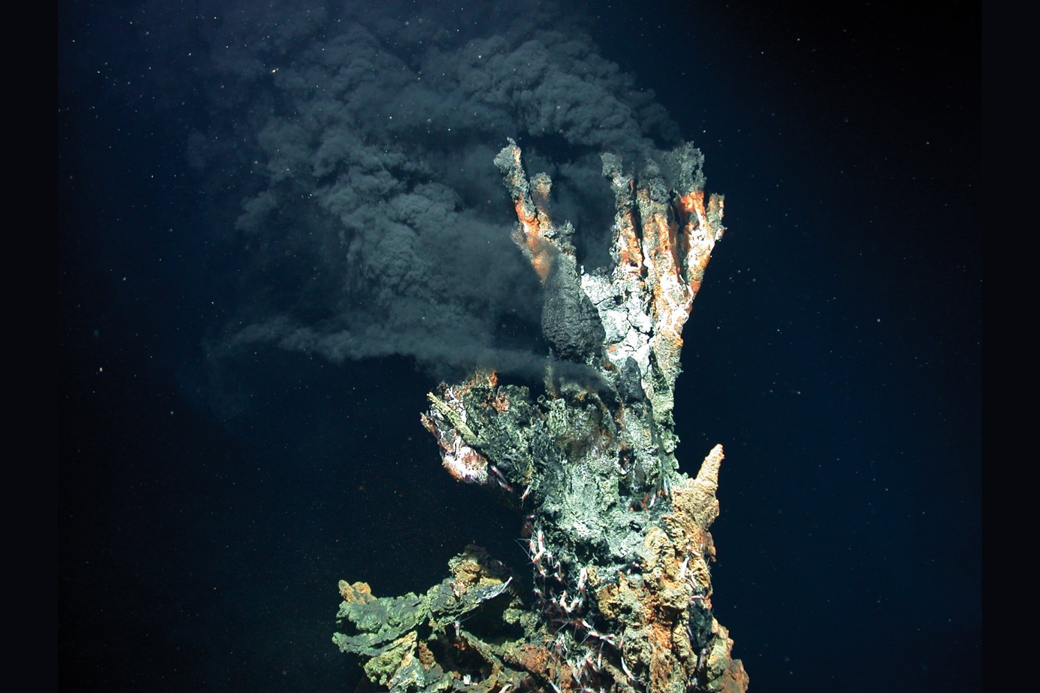 Hydrothermal Vent