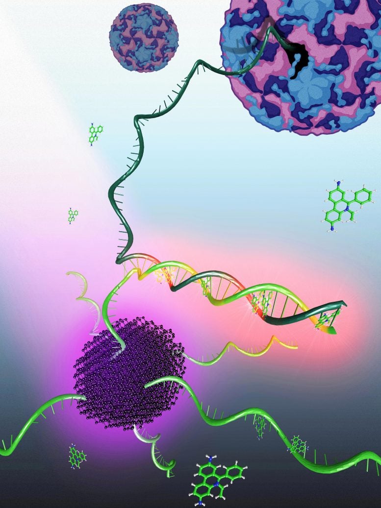 Fluorosensor rasiometrik