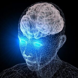 Penglihatan otak manusia