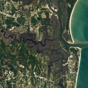 Saint Marys River Mangrove