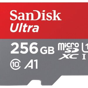 Sandisk Carte 256