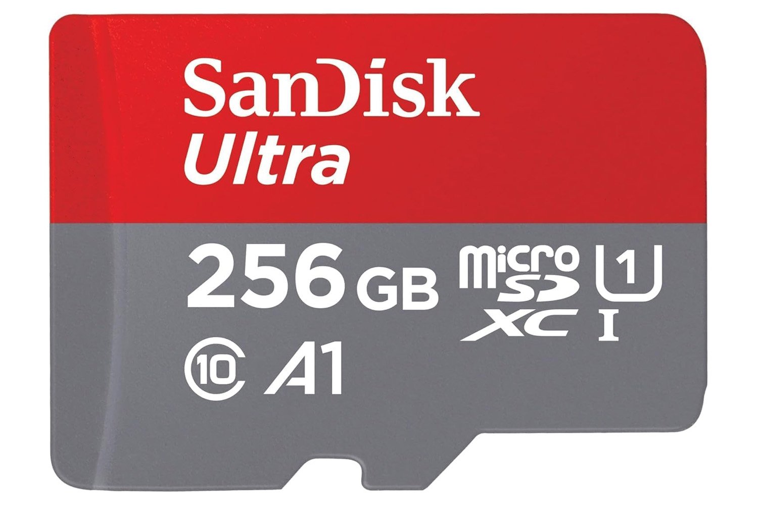 Sandisk Carte 256