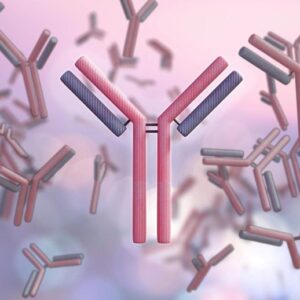 Ilustrasi sains antibodi