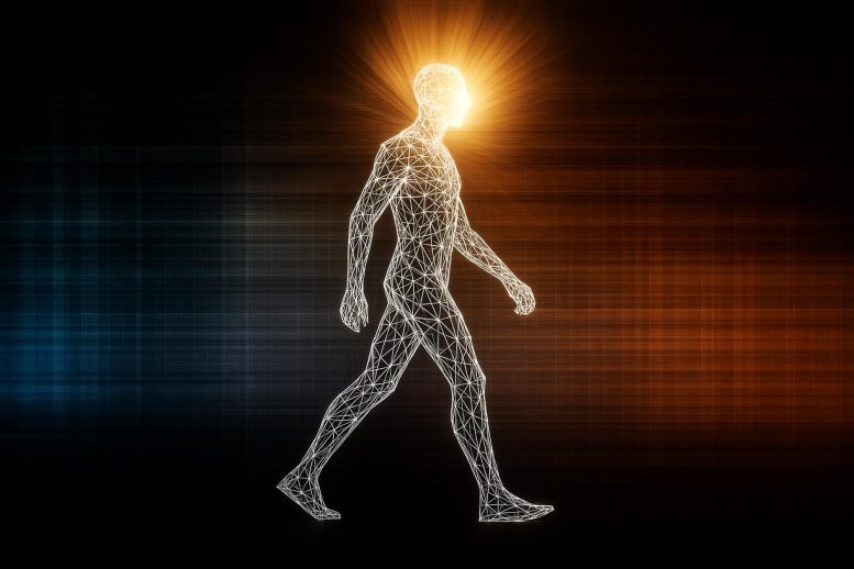 Latihan umur panjang gambar -gambar yang bersinar manusia