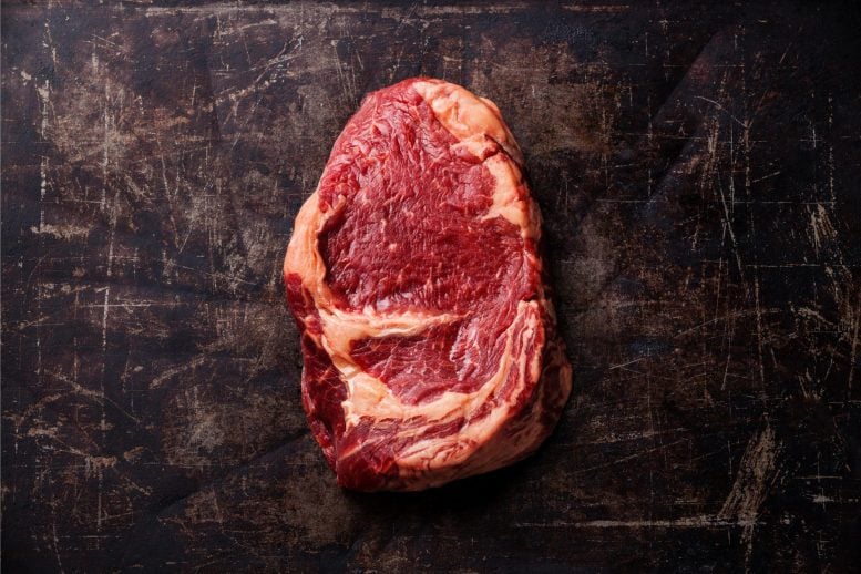 Ribeye daging merah