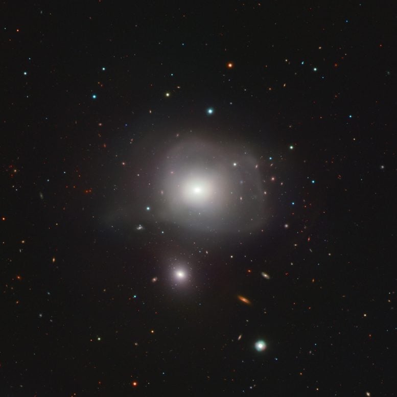 3640 VLT