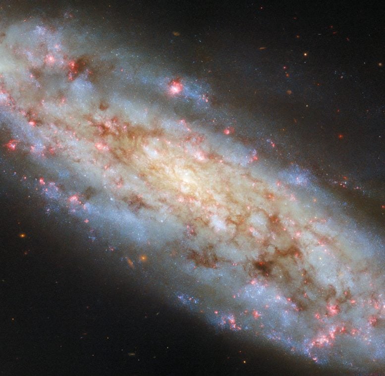 Spiral Galaxy NGC 3511