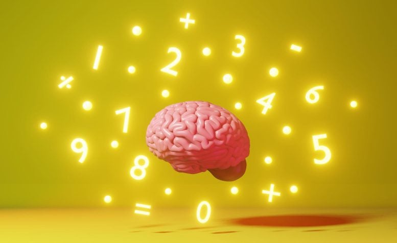 Otak matematika