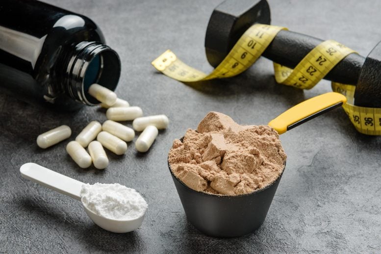 Suplemen Binaraga Nutrisi Nutrisi Protein