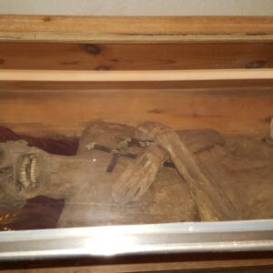 Austrian Mummy