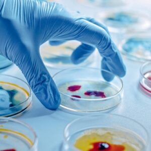 Ilmuwan mengambil cawan petri