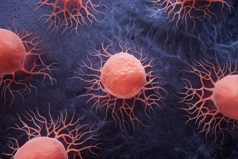 Sel Penyakit Kanker Biologis