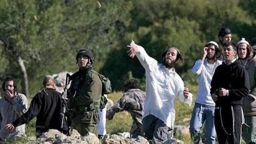 Pemukim Israel membakar tanaman gandum di Burqa Plain, Nablus
