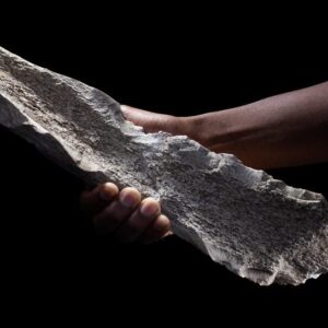 Alat tulang dibentuk pada gajah humerus berusia 1,5 juta tahun