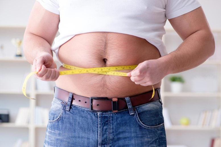 Pita pengukur perut pria yang kelebihan berat badan