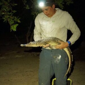 José Avila Cervantes dengan buaya