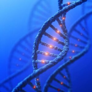 Konsep Mutasi Genetika DNA