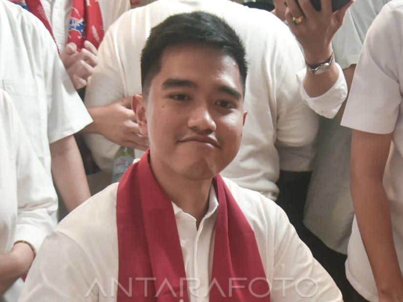 WhatsApp Image 2025 06 23 At 09.28.12 01deae91