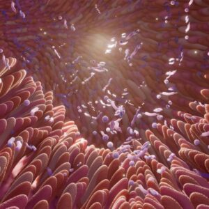 Mikrobioma bakteri usus