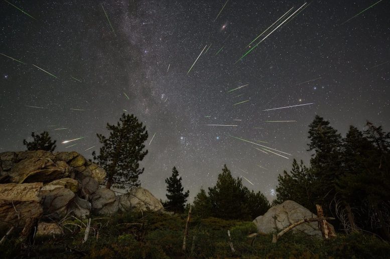 Perseids Meteors beruntun di atas Hutan Nasional Sequoia