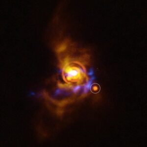 Kemungkinan pendamping mengorbit bintang muda v960 mon